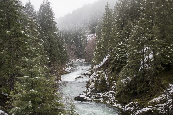 PNW 16