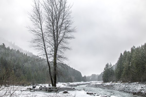 Breitenbush River 4