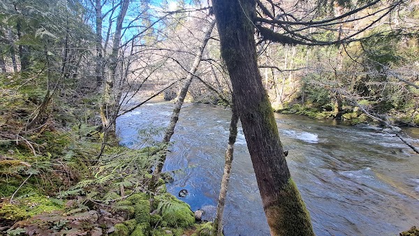 Breitenbush River 2