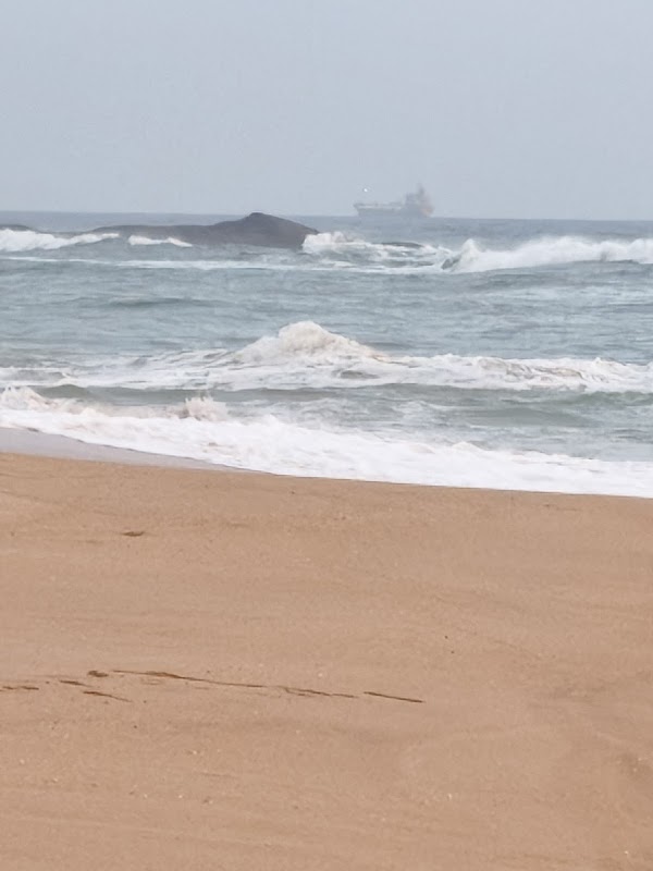 Silent Beach 3