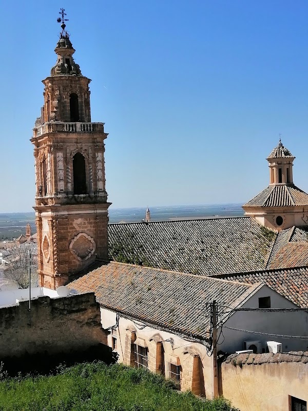 Osuna