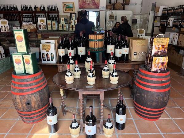 Cantina Pulcino