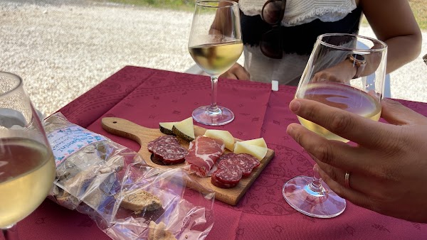 Cantina Pulcino 5