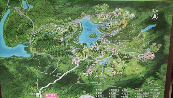Shenzhen Fairy Lake Botanical Garden Parking Lot
