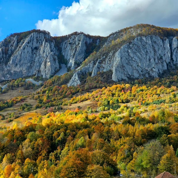 Pasul Buceș Vulcan