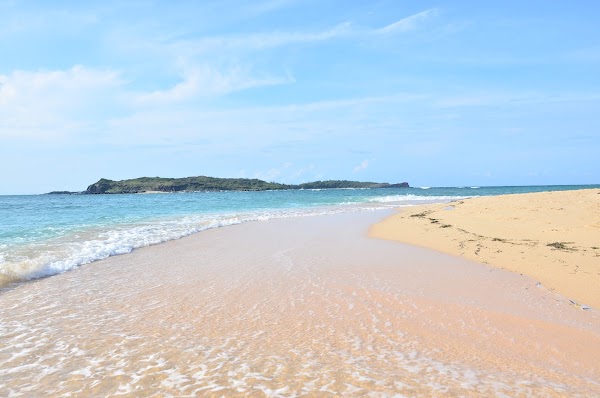 Triều Dương Bay 5