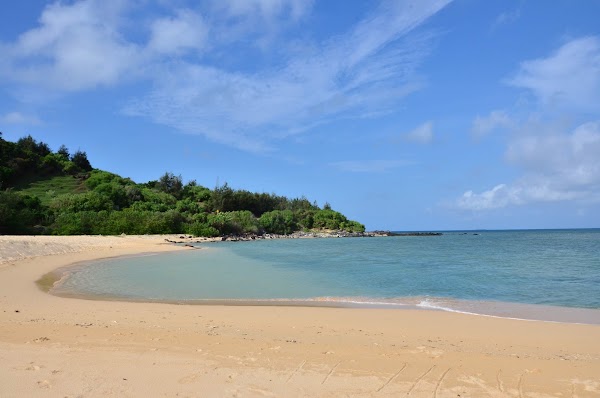 Triều Dương Bay 4