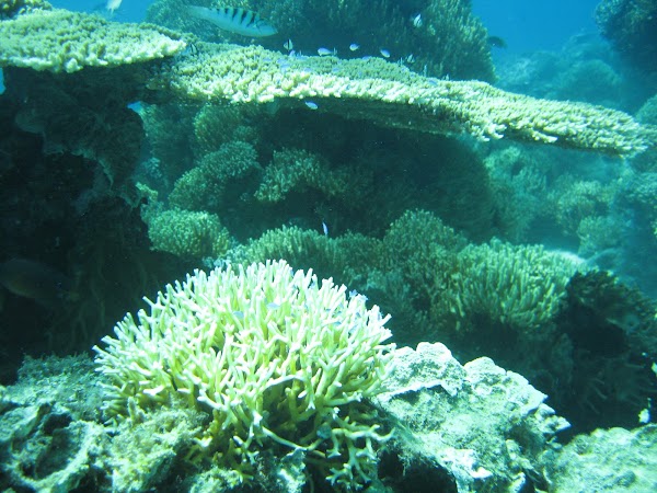 Triều Dương Bay 3