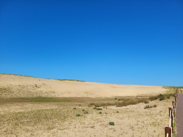 Taean Sinduri Coastal Dune