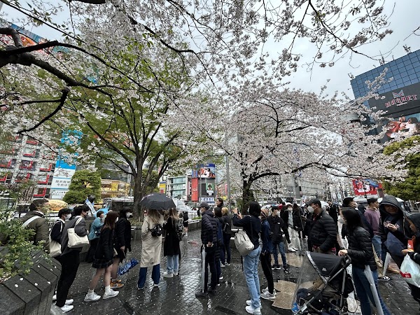 Hachiko Square 2