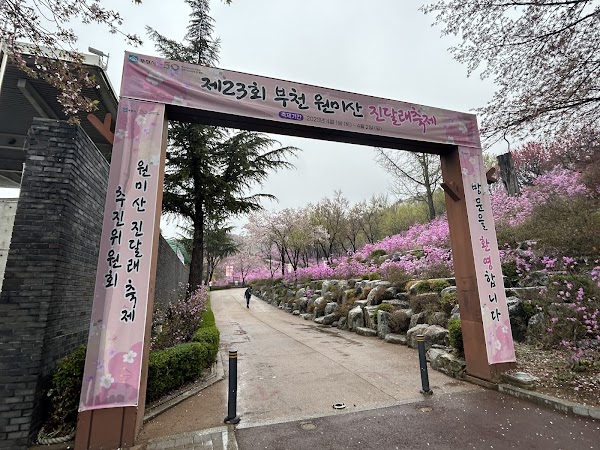 Jindallae Dongsan (Azalea Hill) 5