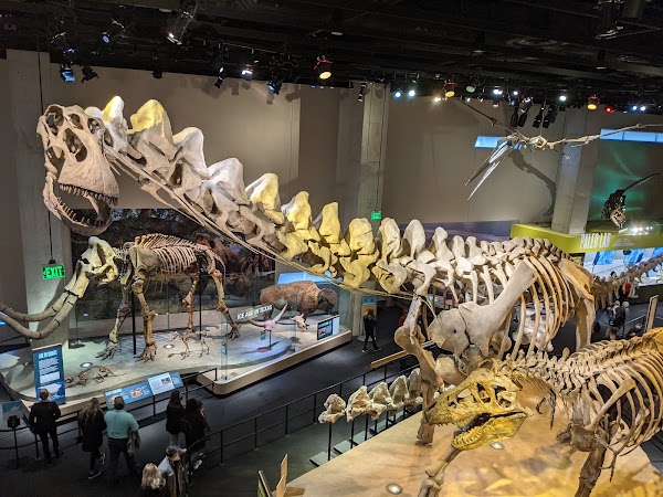 Perot Museum of Nature and Science 5