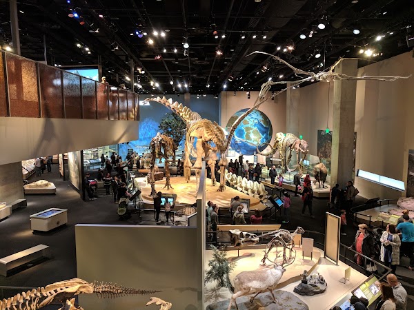 Perot Museum of Nature and Science 4