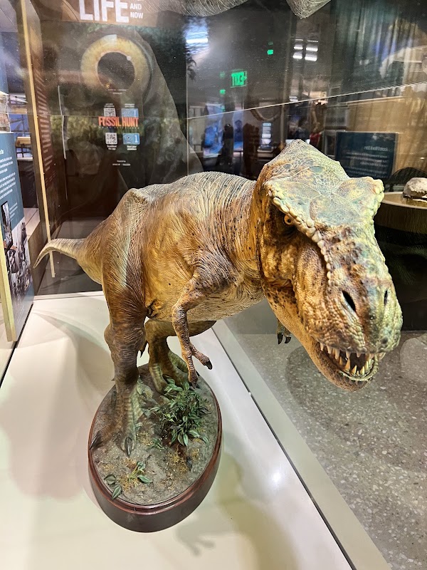 Perot Museum of Nature and Science 3