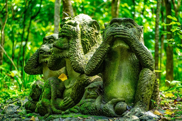 Sacred Monkey Forest Sanctuary 5