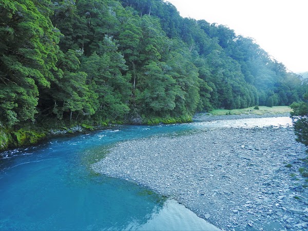 New zealand 43