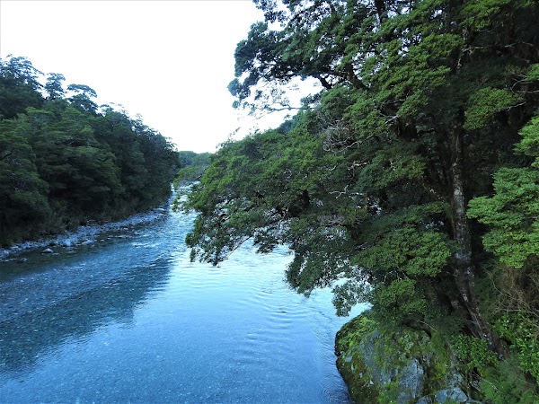 Haast 5