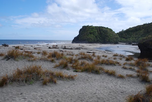 Haast 3
