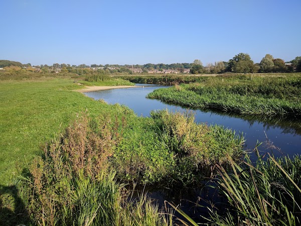 Bowthorpe Marsh