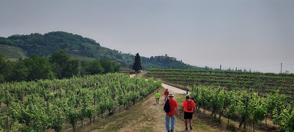 Corno di Rosazzo 5