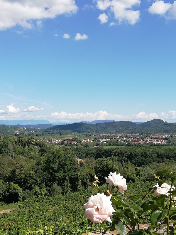Corno di Rosazzo 2