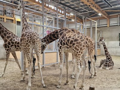 Edinburgh Zoo