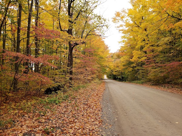 Forks of the Credit Road