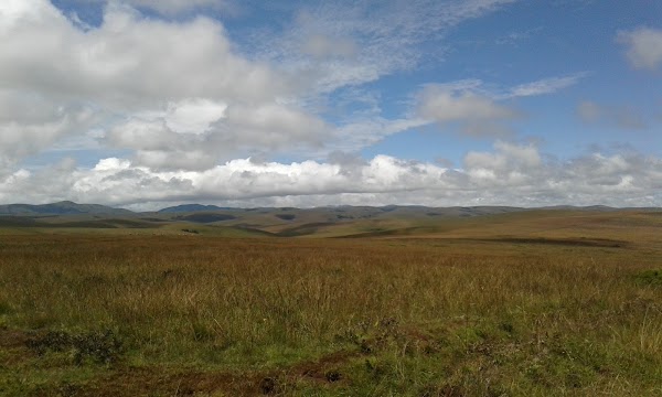 Nyika National Park