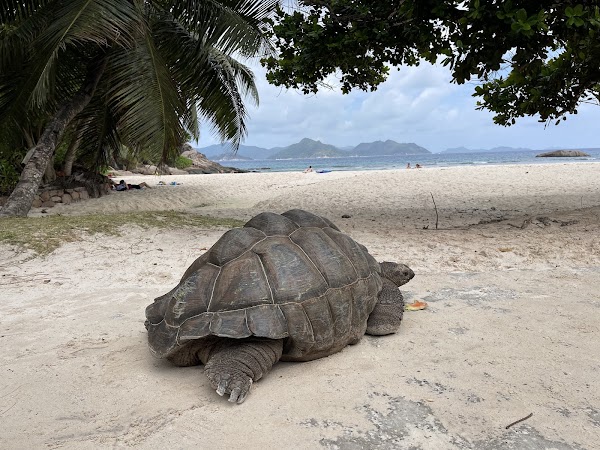 Anse Source d'Argent 4