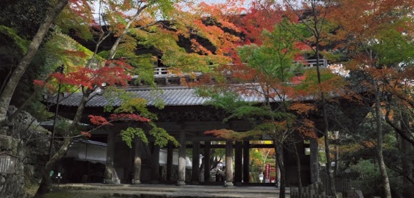 Eigenji Temple 1