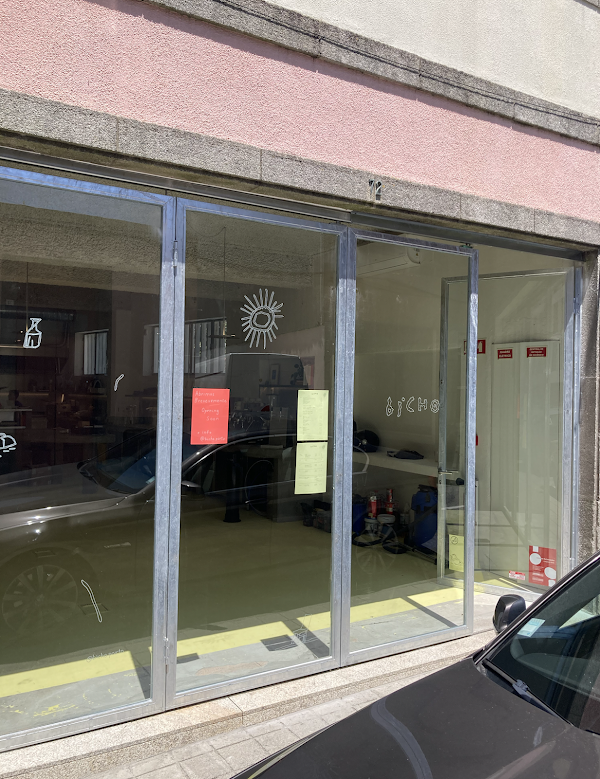 Bicho Porto