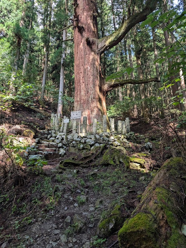 Himuro Shrine 5