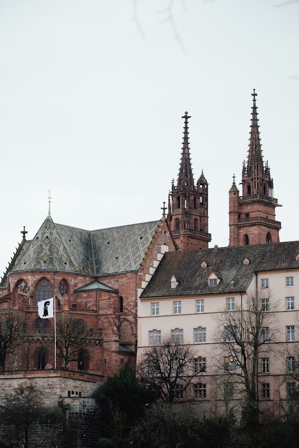 Basel Minster 5