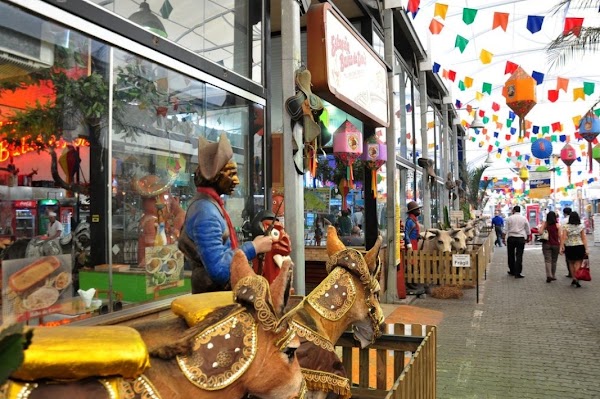 Centro Luiz Gonzaga de Tradições Nordestinas 5