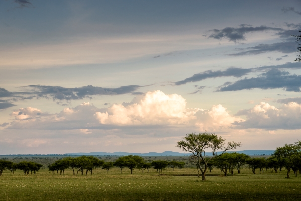 Singita Sabora 2