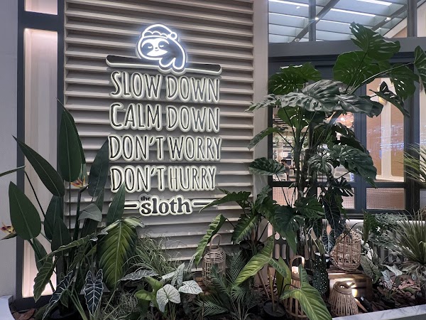The Sloth