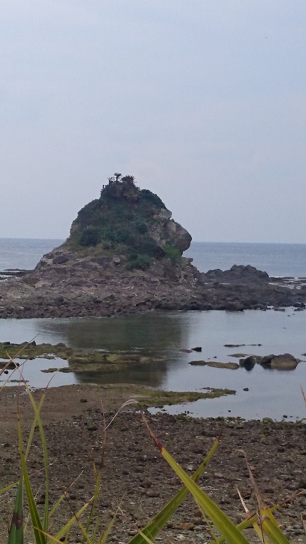 Tokunoshima 4