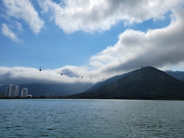 HKIA Cherry Blossom Garden 3