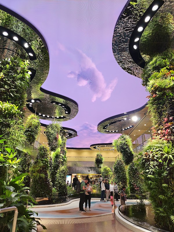 Dreamscape 1