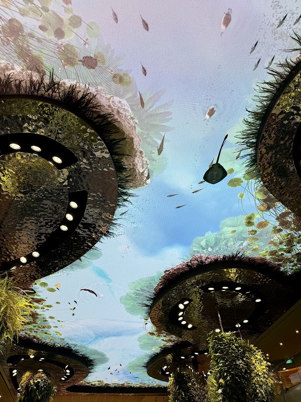 Dreamscape 3