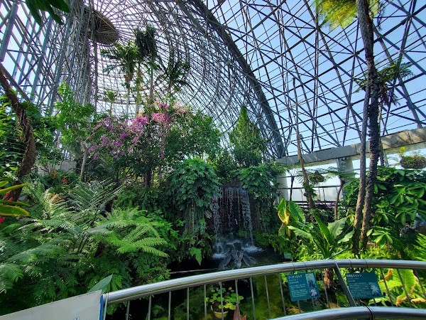 Yumenoshima Park 3