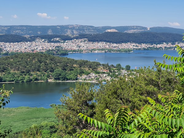 Ioannina 2