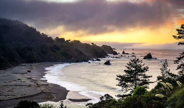 Navarro River Redwoods State Park 5