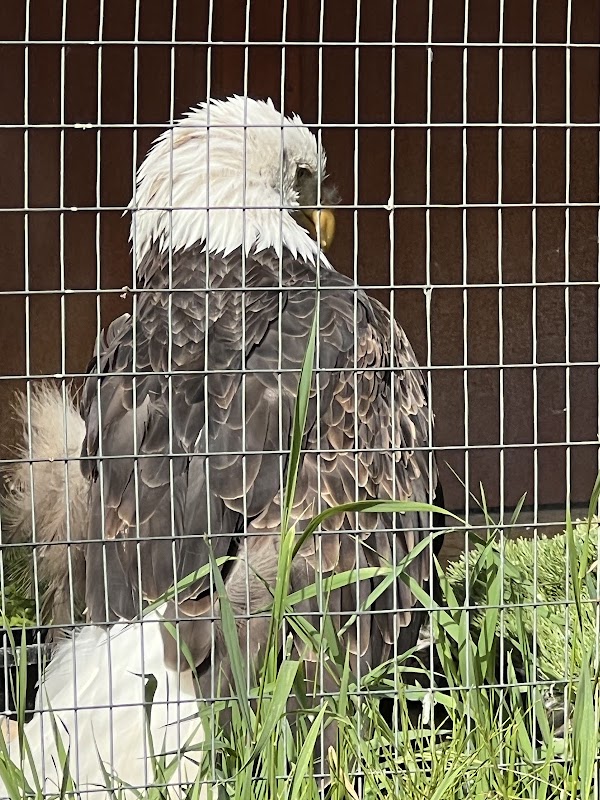 Alaska Wildlife Conservation Center 3