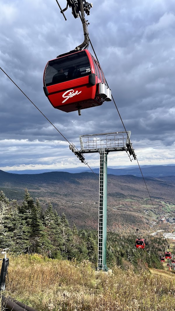 Gondola Skyride 1