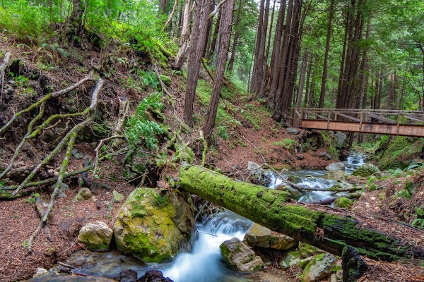 Limekiln State Park 3