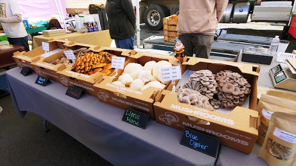 Hillcrest Farmers Market 3
