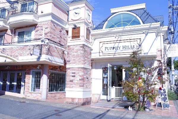 PUPPILY HILLS TOKYO