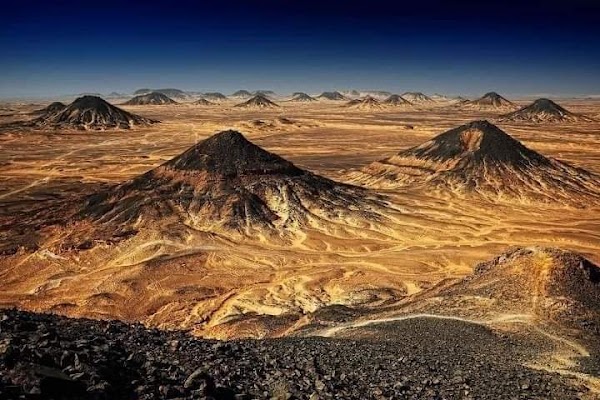 Black Desert