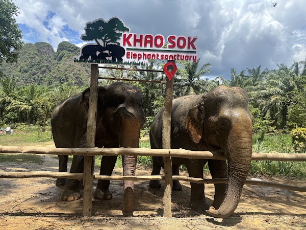 Khao Sok Elephant Sanctuary